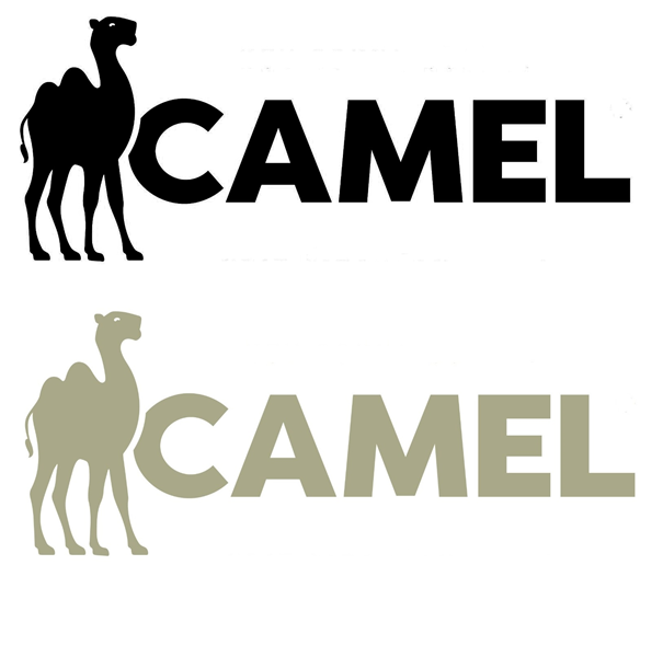 CAMEL