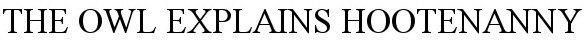 THE OWL EXPLAINS HOOTENANNY