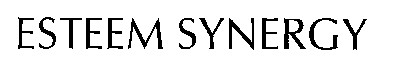 esteem synergy