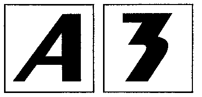 a3