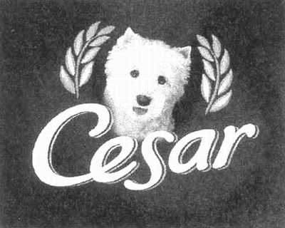 cesar