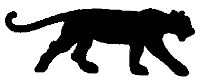panther