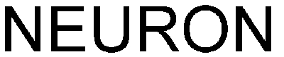 neuron