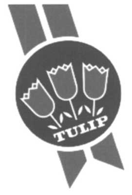 tulip