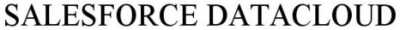 salesforce datacloud