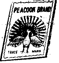 PEACOCK