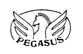 PEGASUS