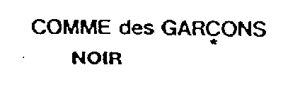 COMME DES GARCONS NOIR