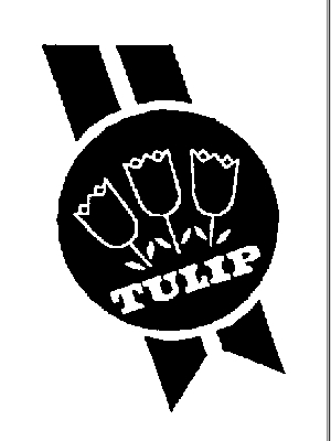 TULIP