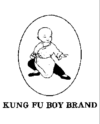 KUNG FU BOY