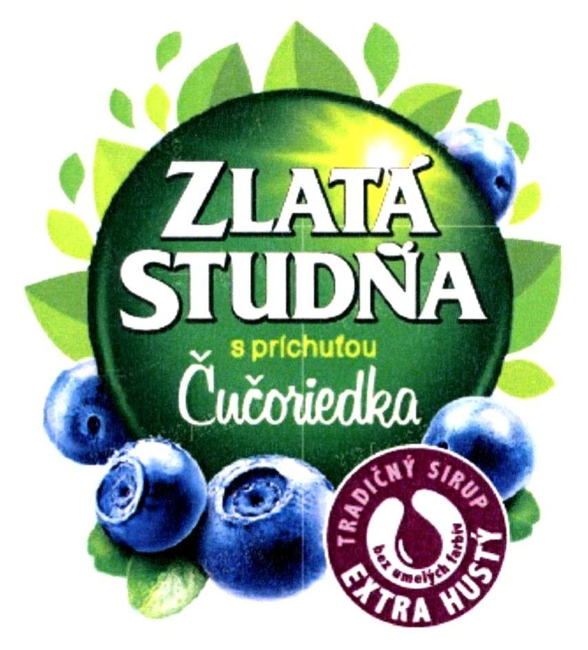 zlatá studňa s príchuťou čučoriedka tradičný sirup extra hustý