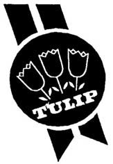 tulip
