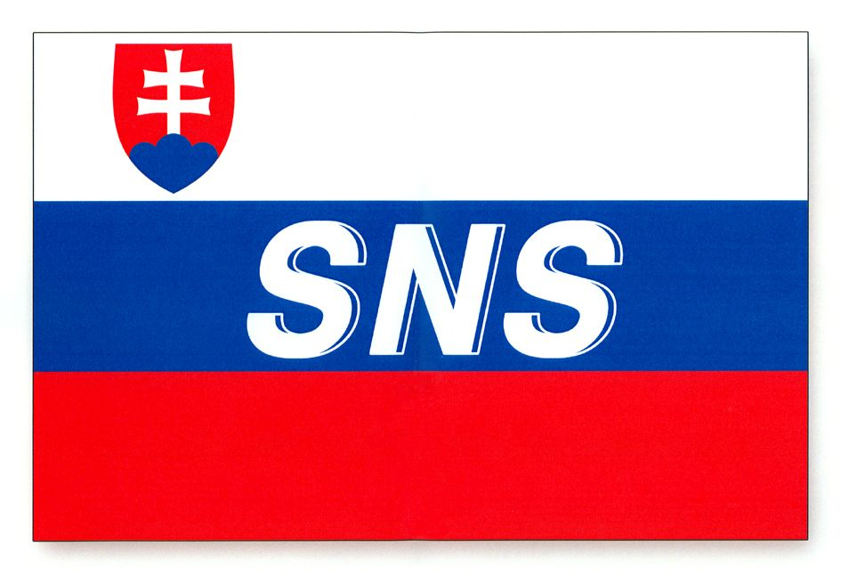 sns