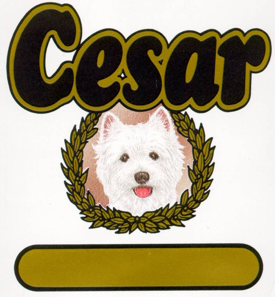 cesar