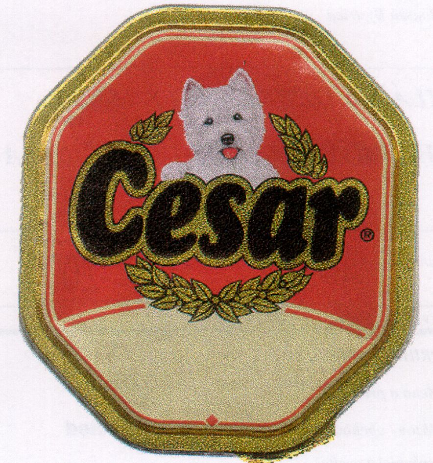 cesar