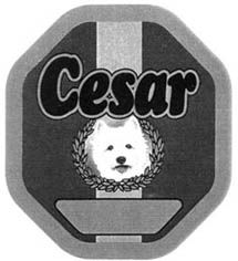 cesar