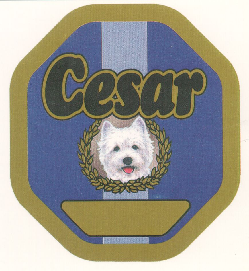 cesar
