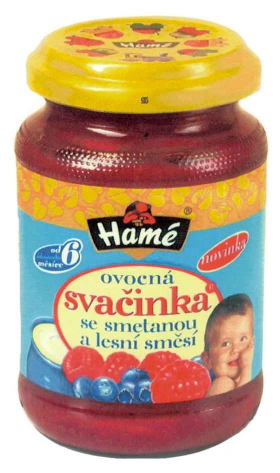 ovocná svačinka se smetanou a lesní směsí hamé
