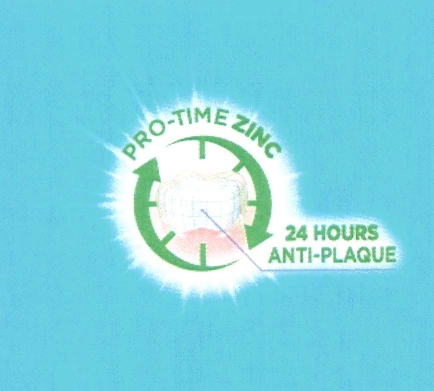 pro - time zinc 24 hours anti-plaque