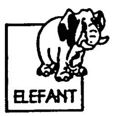 elefant
