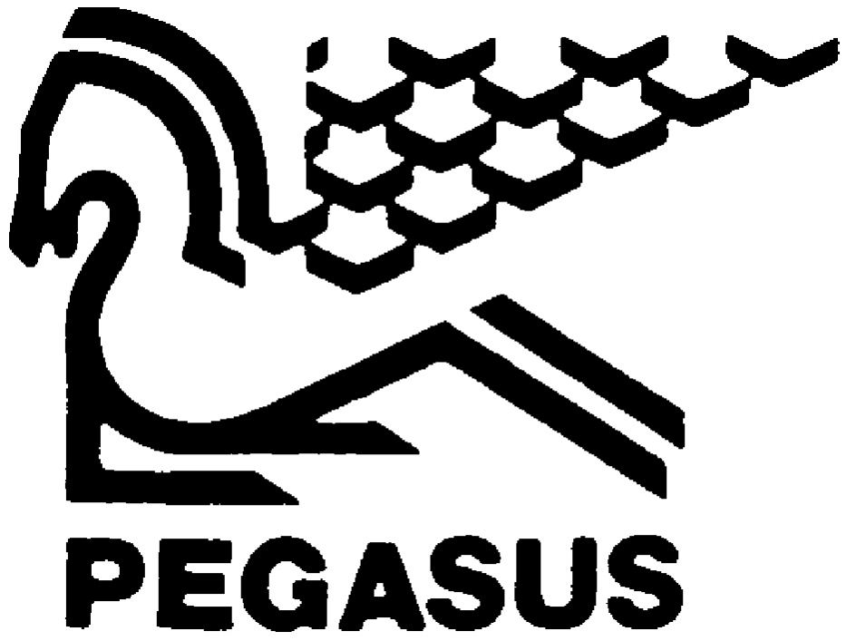 pegasus