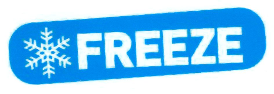 freeze