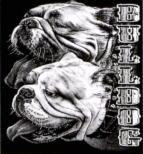 BULLDOG