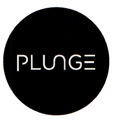 PLUNGE