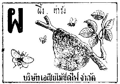 ผ.ผึ้ง, ทำรัง