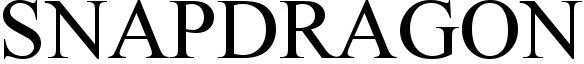 SNAPDRAGON