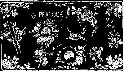 PEACOCK