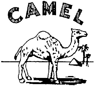CAMEL