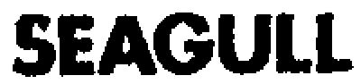 SEAGULL