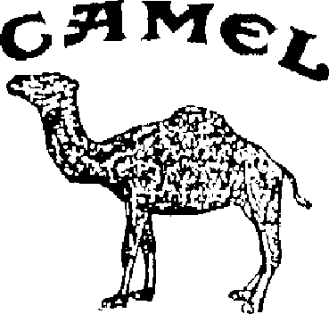 CAMEL