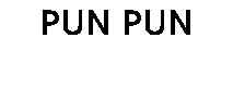 PUN PUN