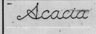 ACACIA
