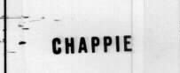 CHAPPIE