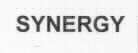 SYNERGY