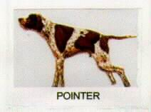 POINTER