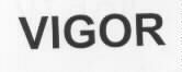 VIGOR