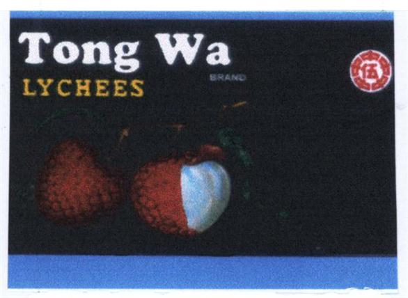 TONG WA,จง,ตง,อู่,โง่ว