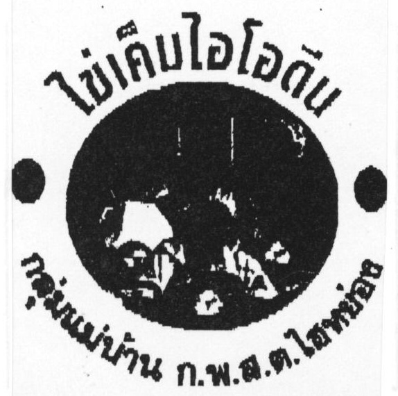 กลุ่มแม่บ้าน ก.พ.ส.ต.ไฮหย่อง