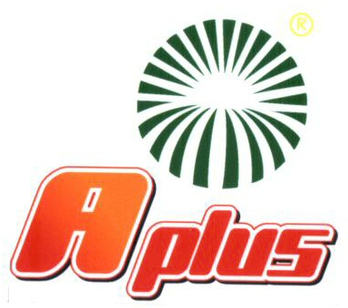 A PLUS