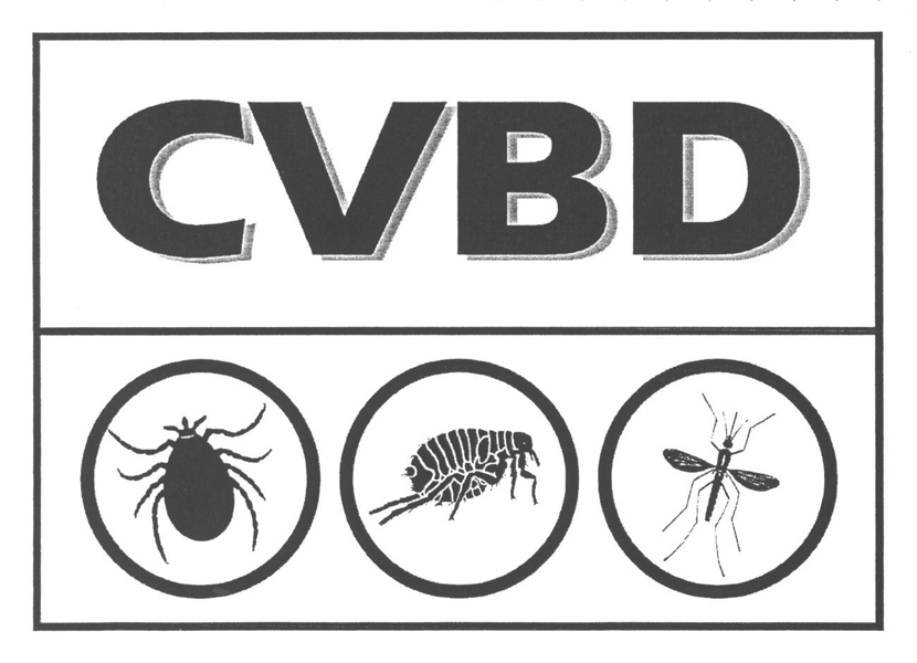 CVBD