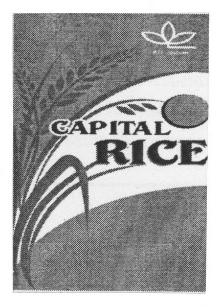 STC GROUP,CAPITAL RICE