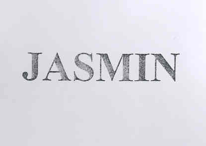 jasmin