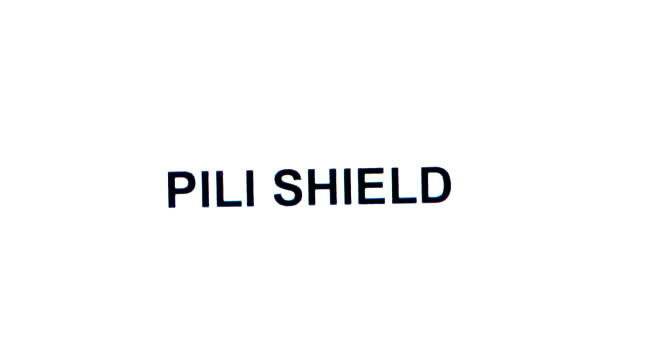 pili shield