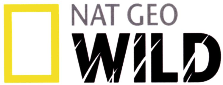net geo wild