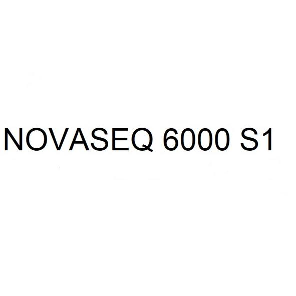 novaseq 6000 s1