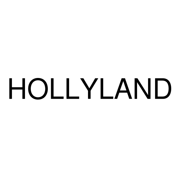 hollyland